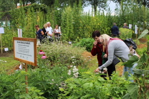 Zeleni dragulji prirode na Agri