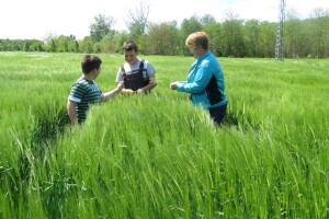 OPG Perica Mijatović