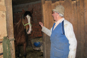 I u osamdesetoj uzgaja konje i vozi fijakere!