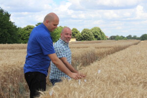 HAPIH: Dan otvorenih vrata prijavljivača postregistracijskih pokusa strnih žitarica