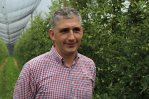 Vrtovi voća iz Velike Ludine