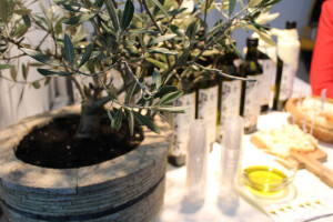 2. Festival maslina u Zagrebu 2017