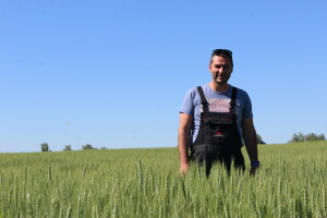 OPG Matej Omazić, Darda