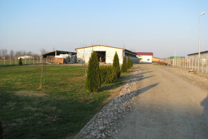 Složni Grgići proizvode juneće meso za pola Bosne