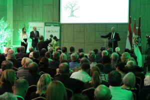 21. Noćnjak, okupljanje maslinara u Neumu