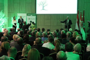 21. Noćnjak, okupljanje maslinara u Neumu