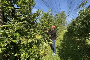 Eksperimentalno ogledni poligon Federalnog zavoda za poljoprivredu