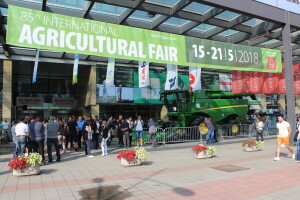 Vikend na sajmu u Novom Sadu