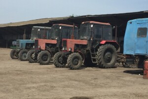 Černobil i poljoprivreda danas