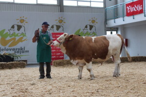 27. državna stočarska izložba