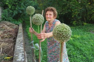 Ljubica Baborac