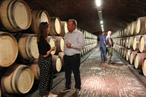 Vinarija Feravino