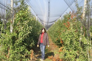 NVO Posavina bez mina