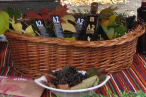 Srebrna medalja za kvalitet likera od aronije