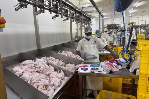 KenChic - prerada piletine u Keniji