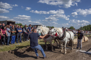 Rumska Štraparijada