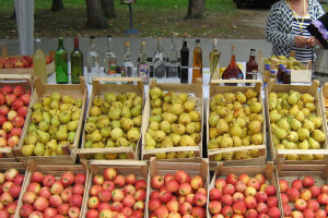 Voće i rakije porodice Kolundžija