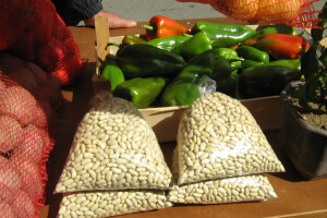 Povrćar Slobodan Predojević