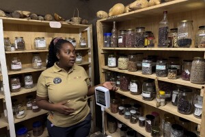 Banka sjemena u Keniji