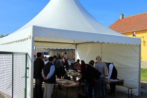 U Despotovu održan &quot;Dan povrtara&quot;