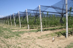 Radionica u sklopu programa "JABUKA.NET 2"