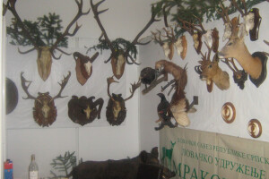 &quot;Jesenji sajam 2017&quot; u Bana Luci