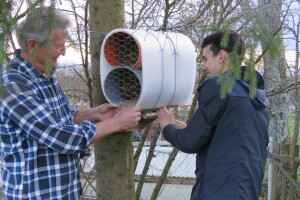 Josip Popčević uzgaja solitarne pčele i za njih radi nastambe