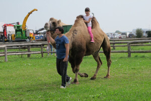 24. jesenski sajam u Gudovcu - zemlja partner Izrael