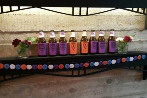 Upoznajte "alhemičarku" koja hmelj, ječam, slad i vodu pretvara u pivo