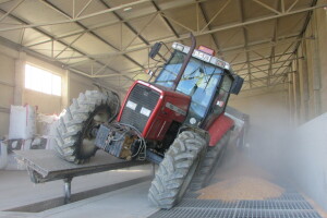 Prijem kukuruza i soje sa domaćih oranica u punom jeku