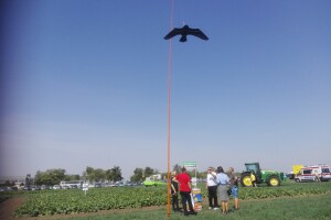 SCARYBIRD: Da više u proizvodnji nemate problema s pticama