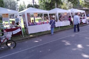 Bačka Palanka: Etno šor okupio više od 50 izlagača