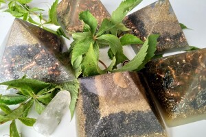 Upotreba orgonita u poljoprivredi