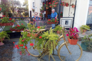 Cvetna oaza porodice Lončarević