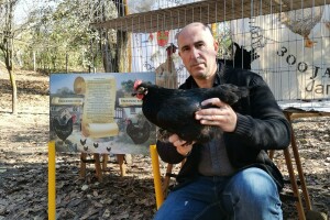 Domaća autohtona živina važan resurs Srbije