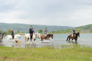 Konjički klub "Stina" vode tri sestre