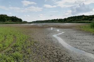 Akumulaciono jezero Ljukovo, Jarkovci
