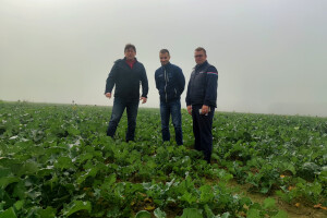 OPG Brkić Blaženka