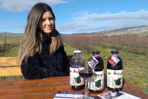 Aronija - egzotična voćka od koje se može pristojno živjeti u BiH