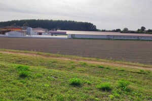 Petrinja Chicken Company