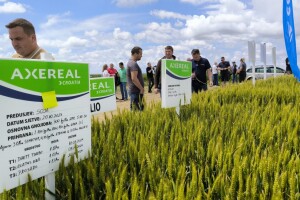 26. Dan polja pivarskog ječma tvrtke Axereal