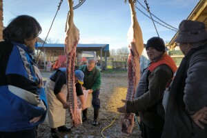 Tradicionalna slavonska svinjokolja