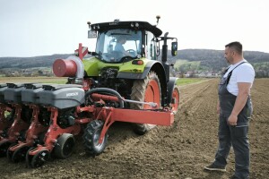 Sjetva luka na OPG Branko Pilaš iz Viškovaca kod Požege
