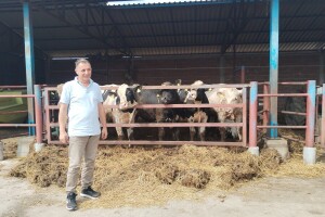 Farma Kovačević: Nekada uspešna mlekara - danas tovilište teladi i junadi