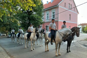 Defile prnjavorskih lipicanera ulicama grada
