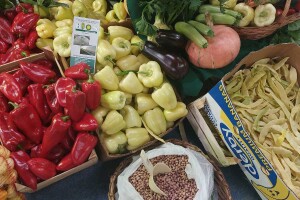 Poljoprivredni sajam "Jesen u Visokom"