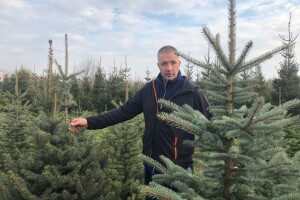 Nordijske jele Maria Beraneka