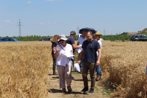 HAPIH: Dani polja Centra za sjemenarstvo i rasadničarstvo