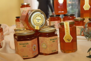 Međunarodni dani meda