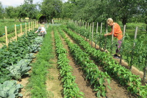 Danijela i Đuro Matokanović